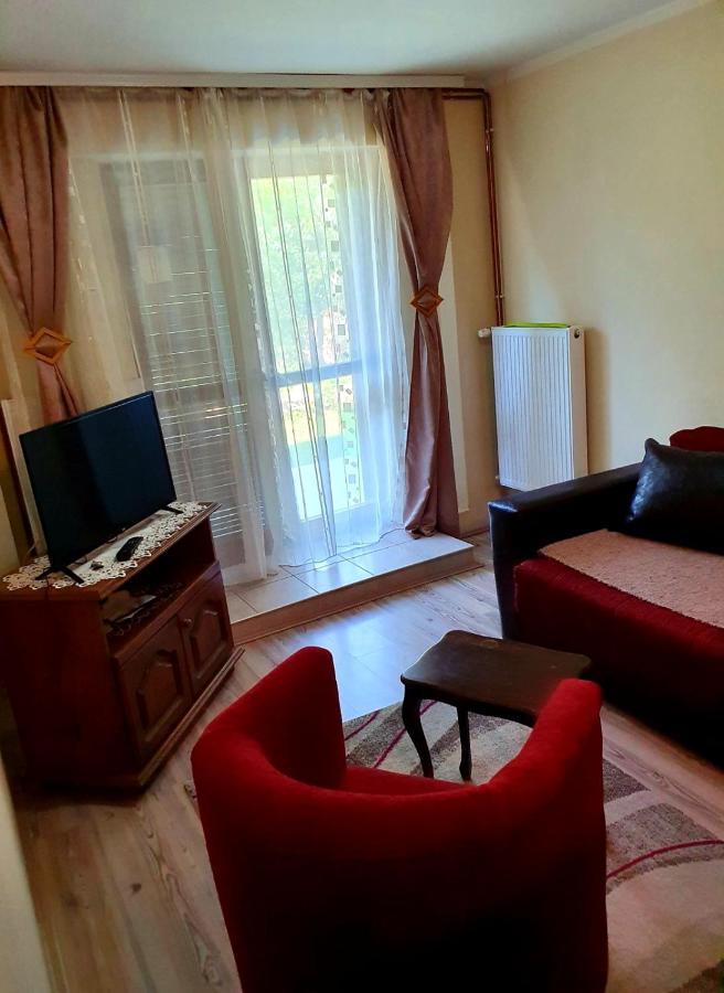 Apartman Sergej 2 Сокобаня Экстерьер фото