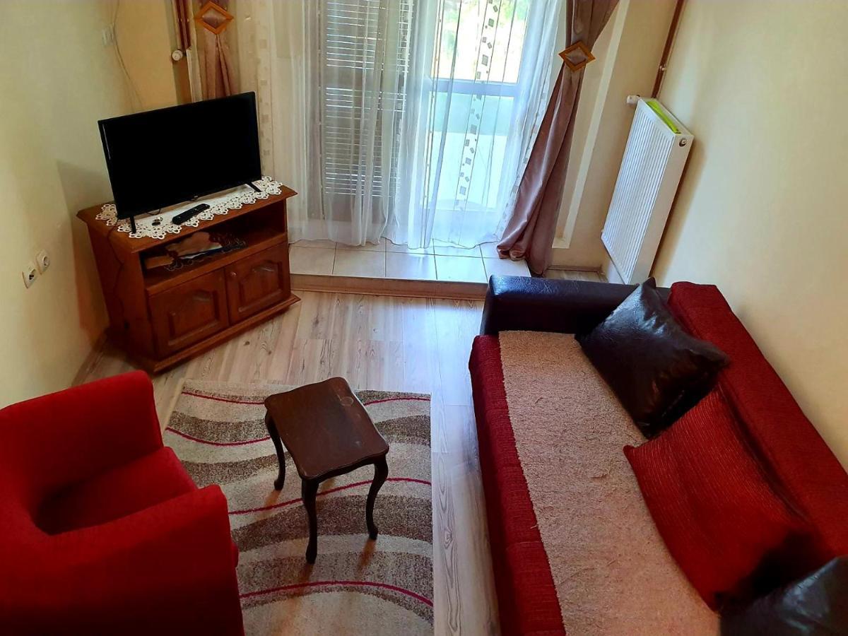 Apartman Sergej 2 Сокобаня Экстерьер фото