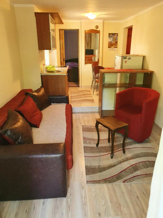 Apartman Sergej 2 Сокобаня Экстерьер фото