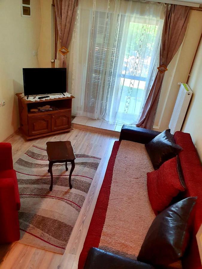 Apartman Sergej 2 Сокобаня Экстерьер фото