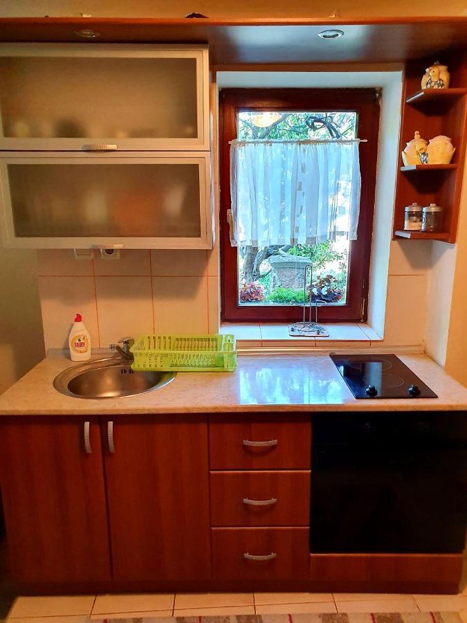 Apartman Sergej 2 Сокобаня Экстерьер фото